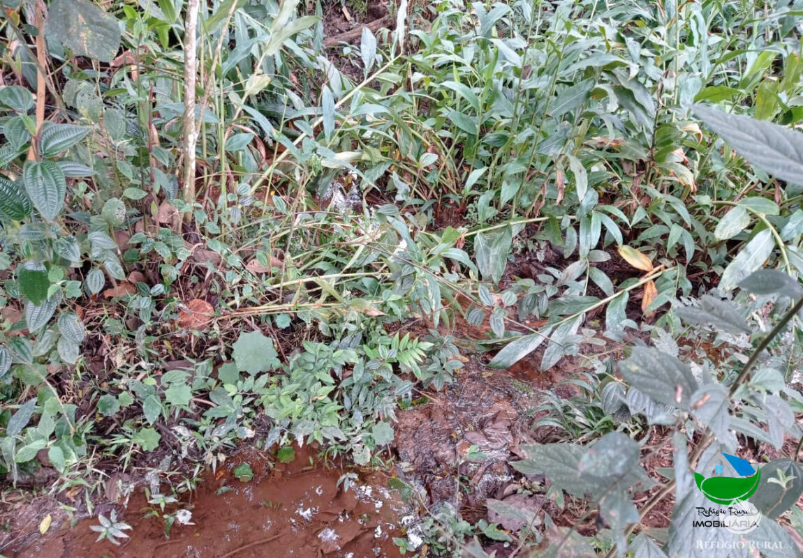 Terreno de 7 ha em São José dos Campos, SP