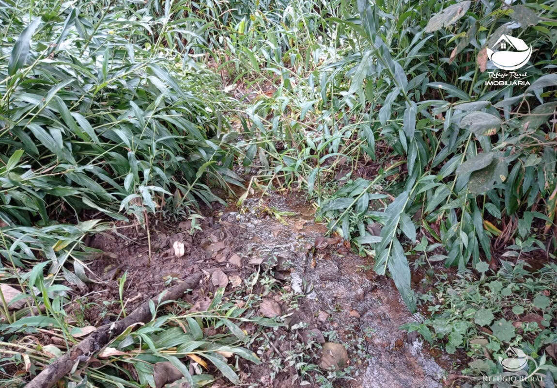 Terreno de 7 ha em São José dos Campos, SP