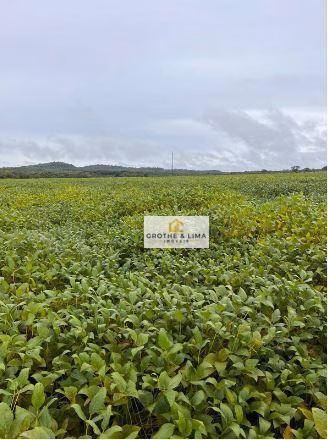 Fazenda de 1.034 ha em Canarana, MT