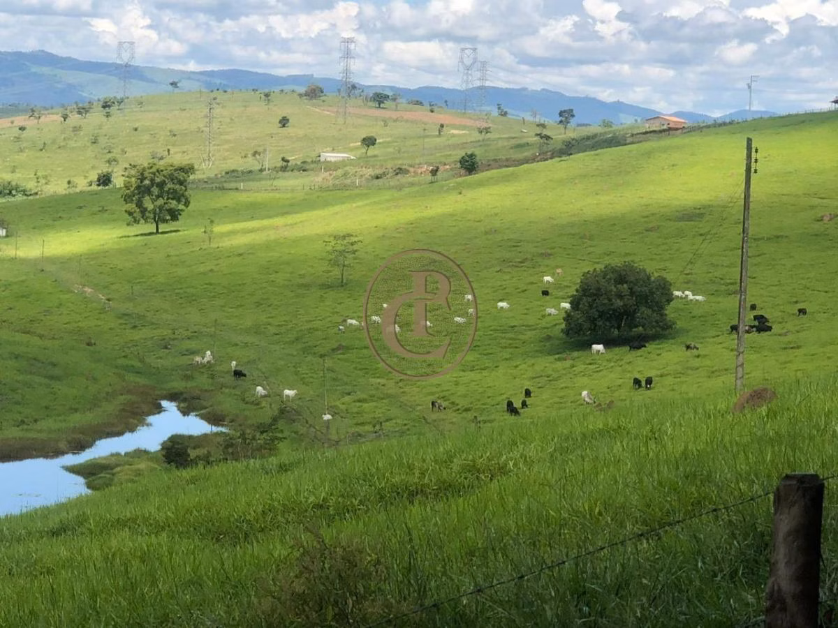 Farm zum Verkauf von 6.000 ha in Cachoeira Paulista, SP