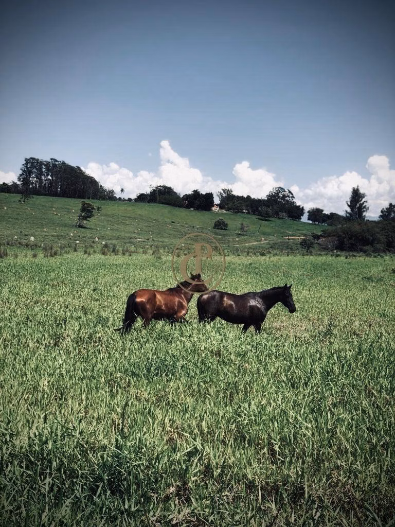 Farm zum Verkauf von 6.000 ha in Cachoeira Paulista, SP