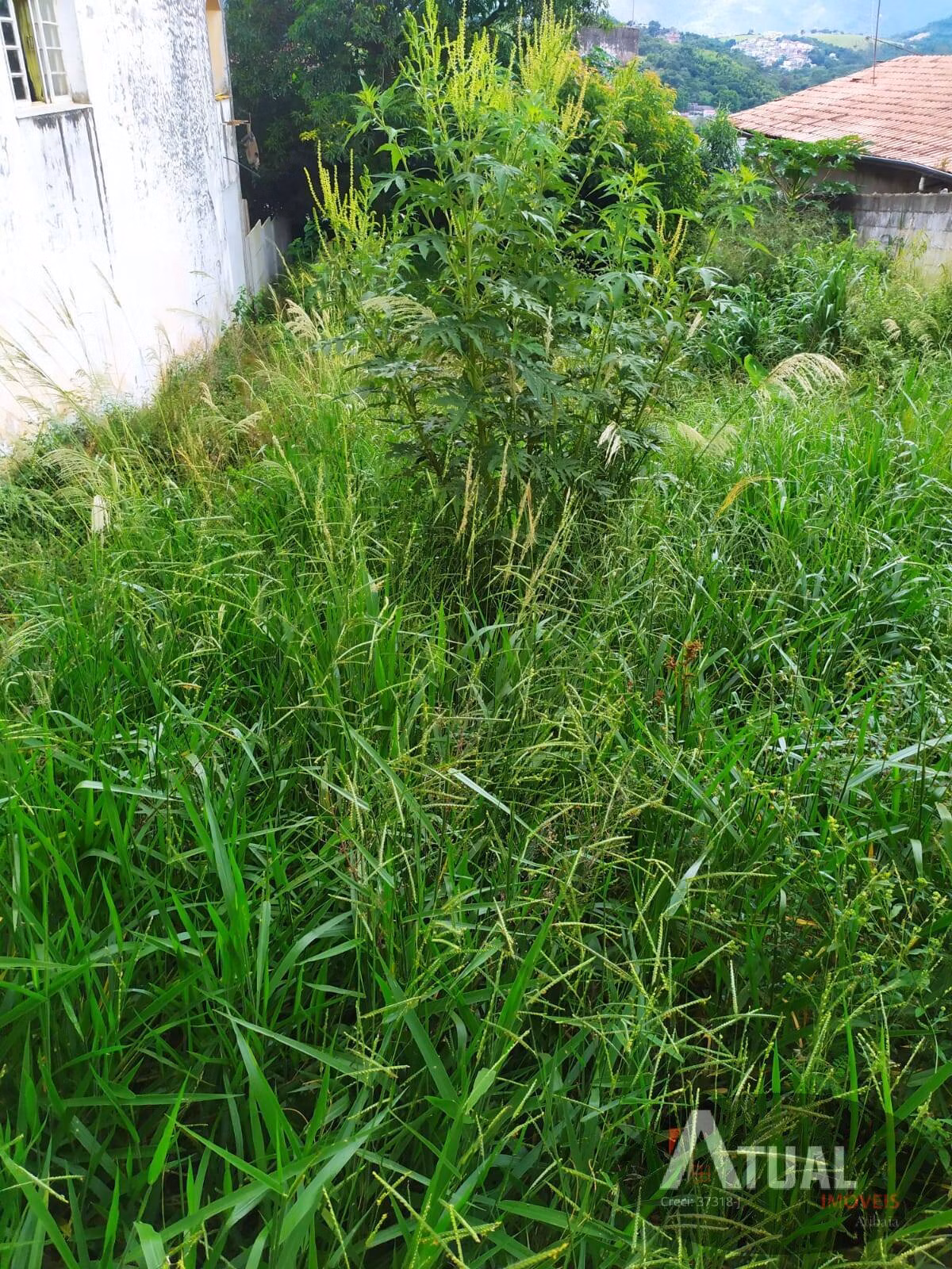 Plot of 150 m² in Atibaia, SP, Brazil