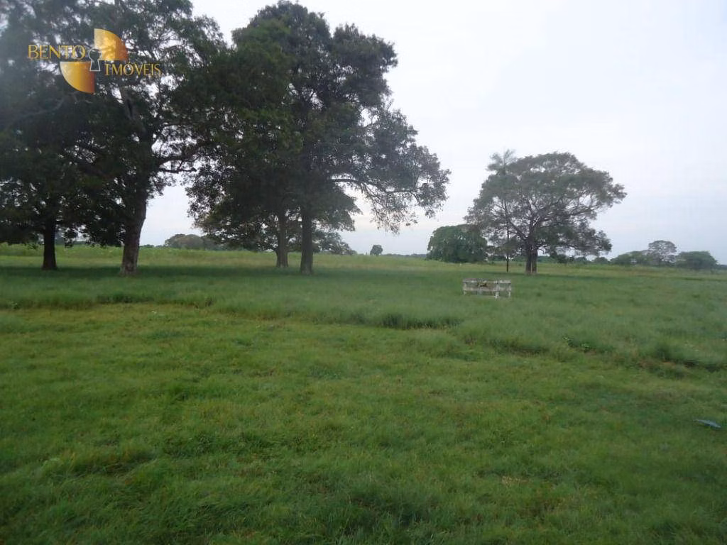 Farm of 2,679 acres in General Carneiro, MT, Brazil