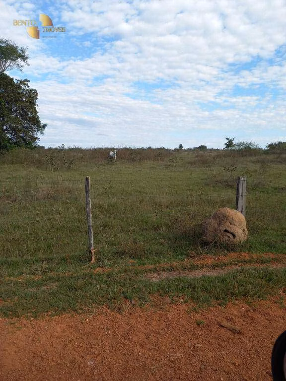 Farm of 2,679 acres in General Carneiro, MT, Brazil