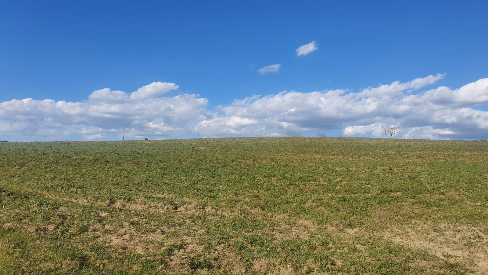 Fazenda de 247 ha em Botucatu, SP