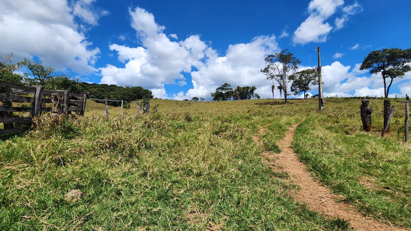 Sítio de 39 ha em Cocalzinho de Goiás, GO