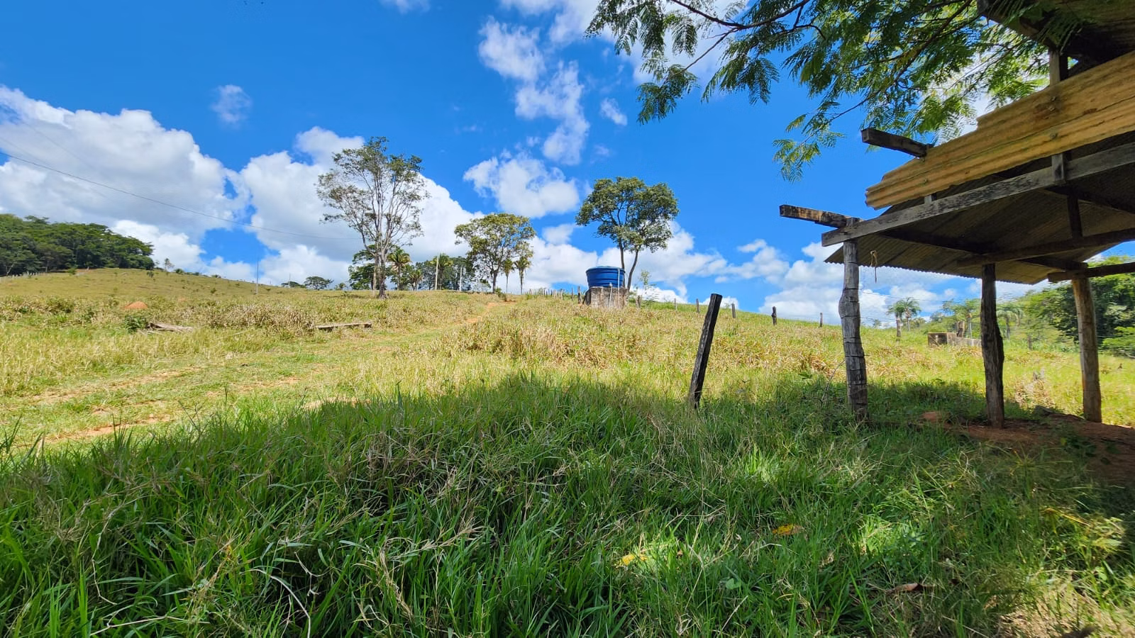 Sítio de 39 ha em Cocalzinho de Goiás, GO
