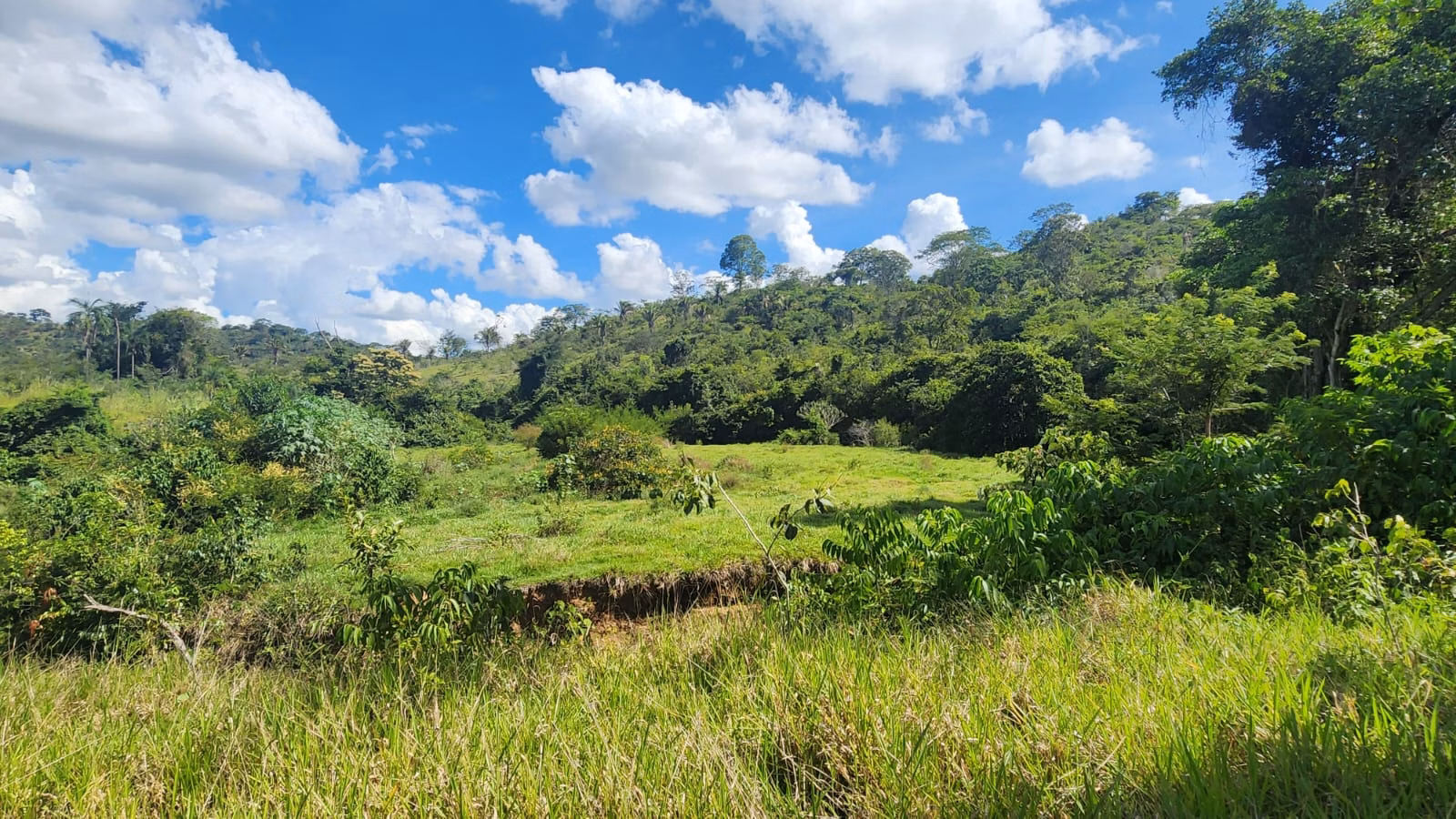 Sítio de 39 ha em Cocalzinho de Goiás, GO