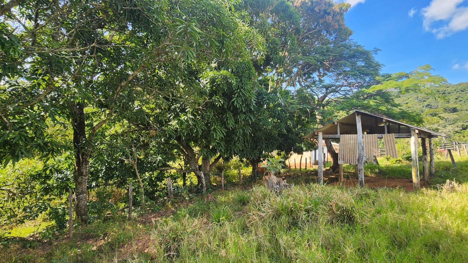 Sítio de 39 ha em Cocalzinho de Goiás, GO