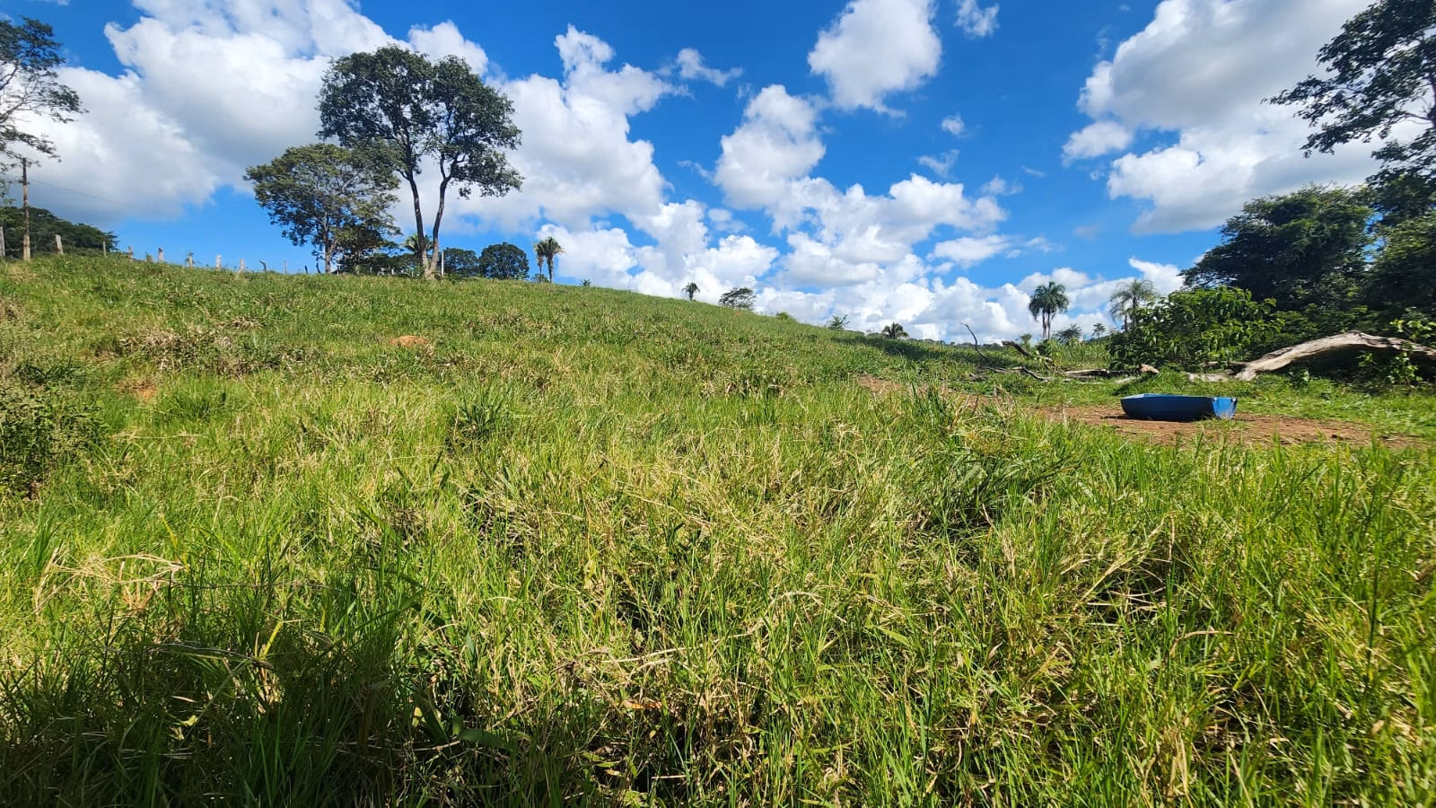 Sítio de 39 ha em Cocalzinho de Goiás, GO