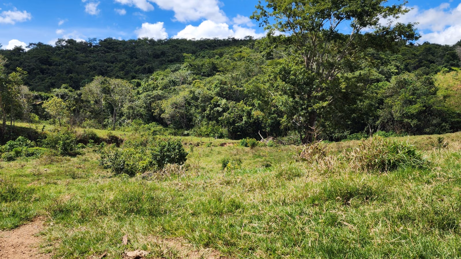 Sítio de 39 ha em Cocalzinho de Goiás, GO