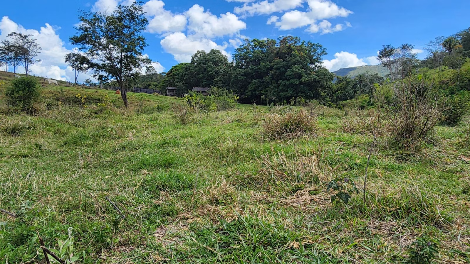 Sítio de 39 ha em Cocalzinho de Goiás, GO
