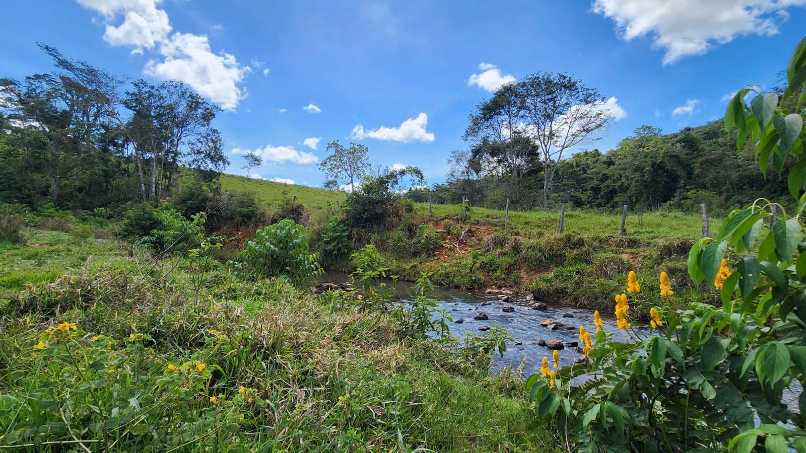 Sítio de 39 ha em Cocalzinho de Goiás, GO