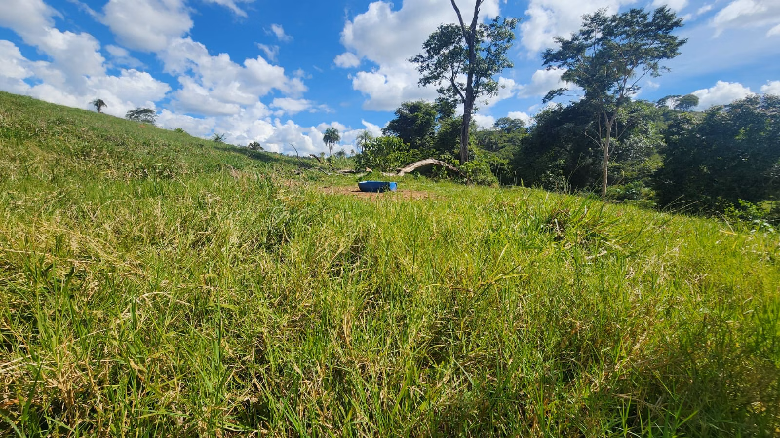 Sítio de 39 ha em Cocalzinho de Goiás, GO
