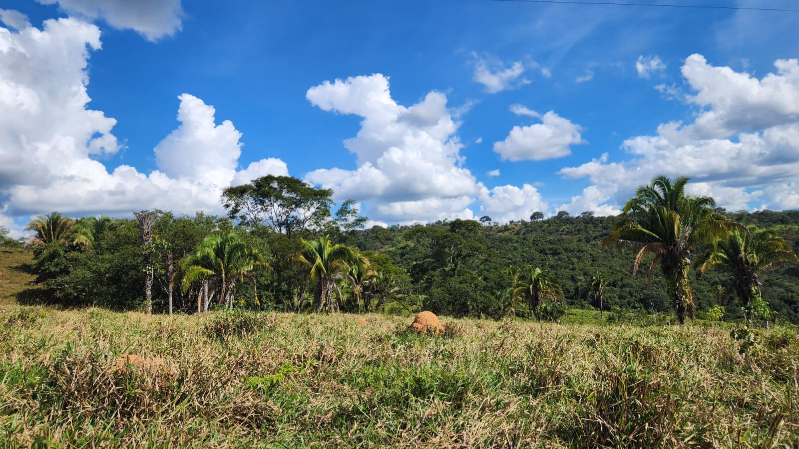Sítio de 39 ha em Cocalzinho de Goiás, GO