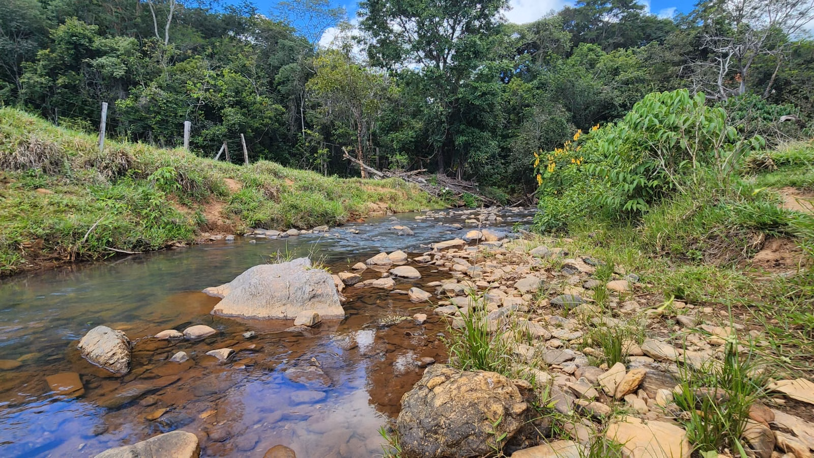 Sítio de 39 ha em Cocalzinho de Goiás, GO