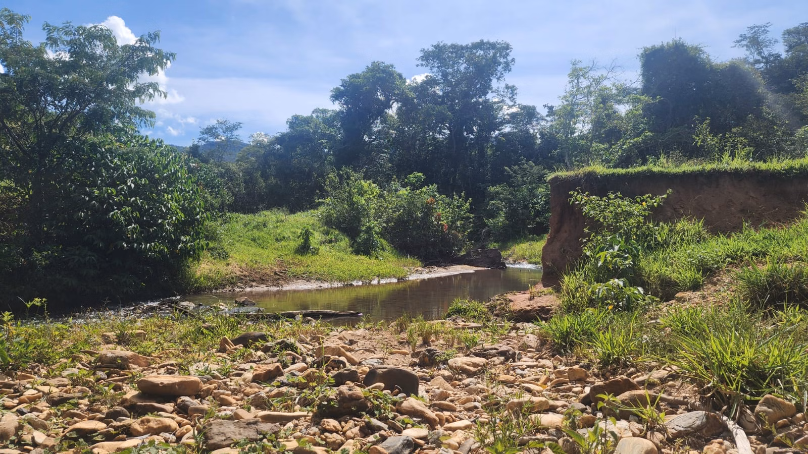 Sítio de 39 ha em Cocalzinho de Goiás, GO