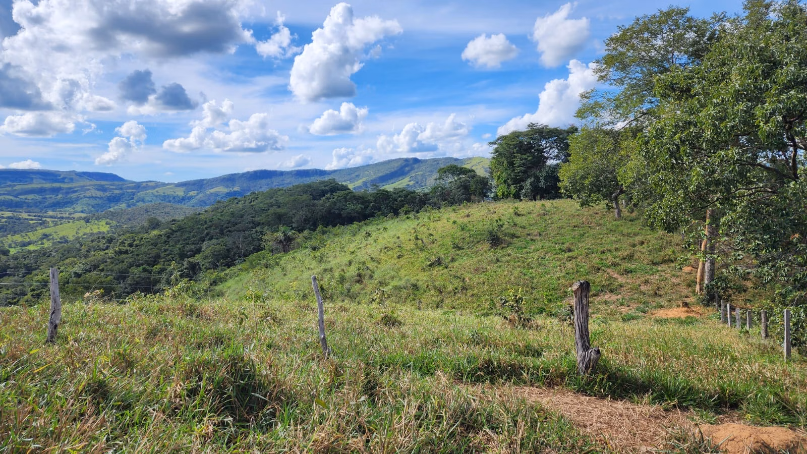 Sítio de 39 ha em Cocalzinho de Goiás, GO