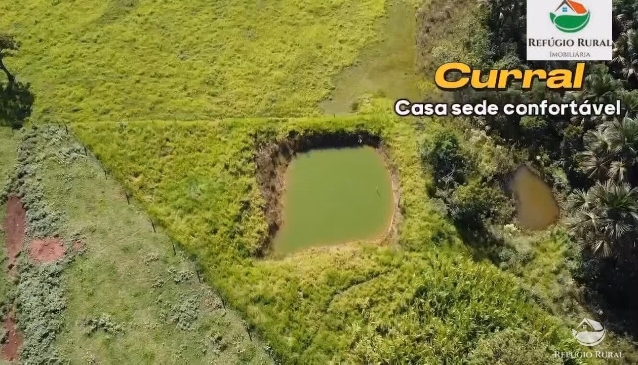 Sítio de 96 ha em Monte Alegre de Minas, MG