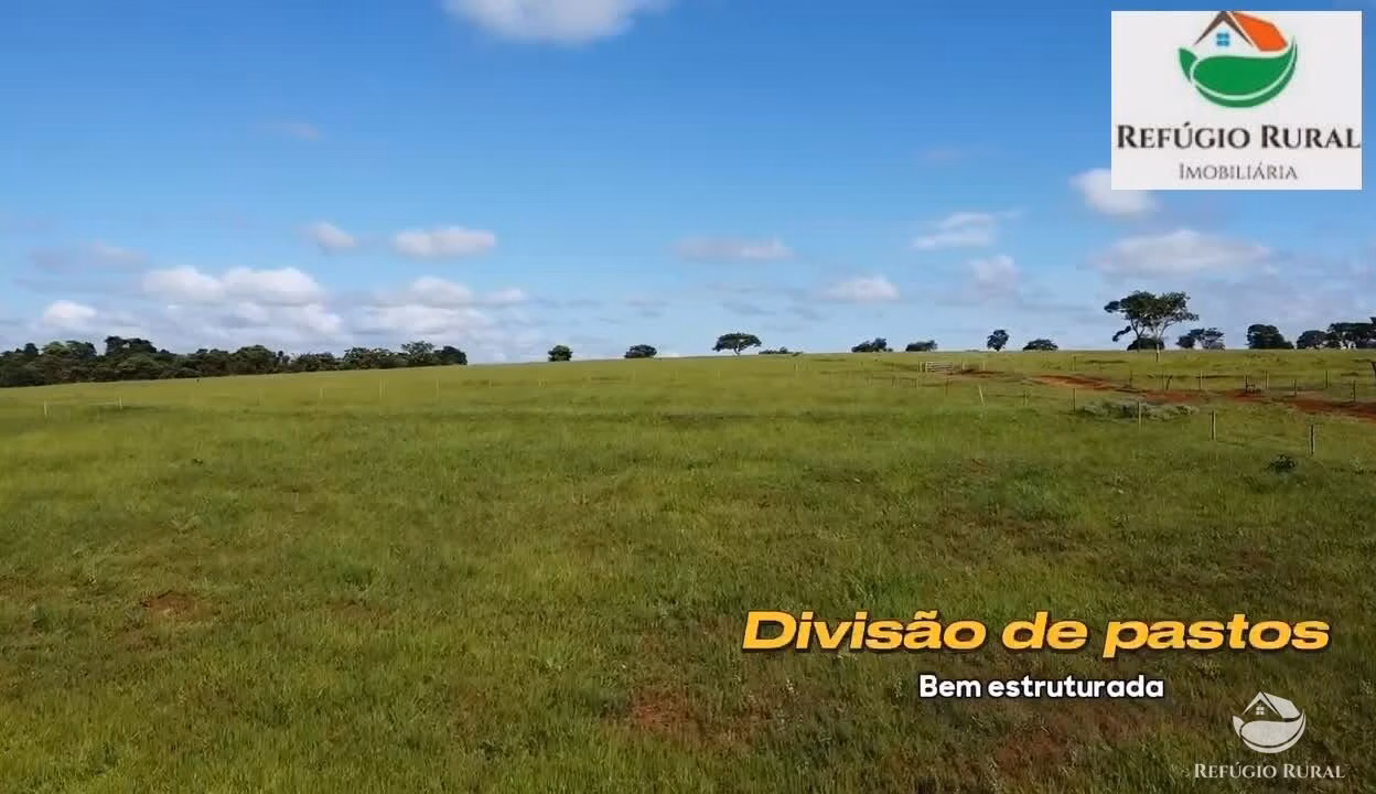 Sítio de 96 ha em Monte Alegre de Minas, MG