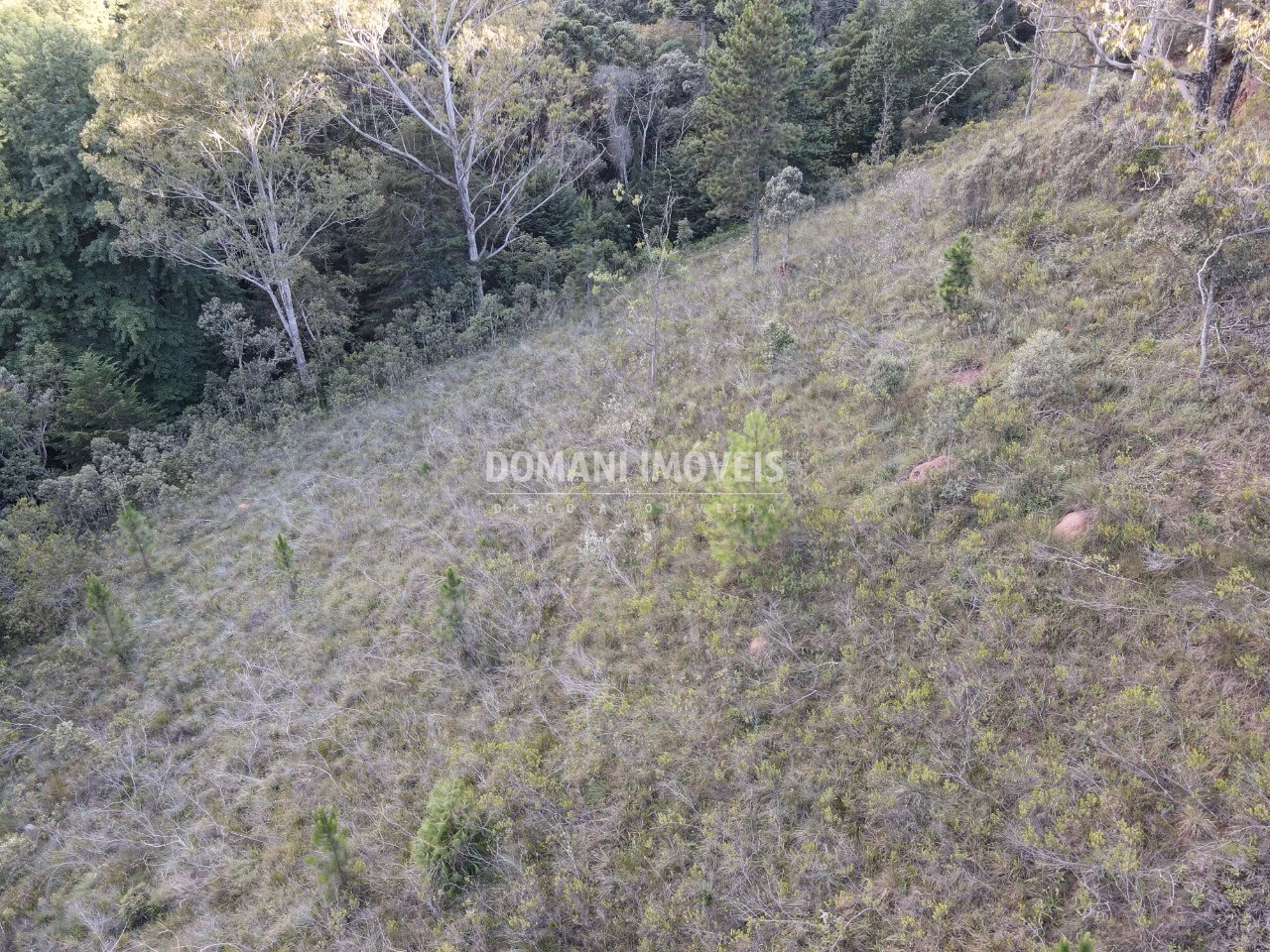 Plot of 3,590 m² in Campos do Jordão, SP, Brazil