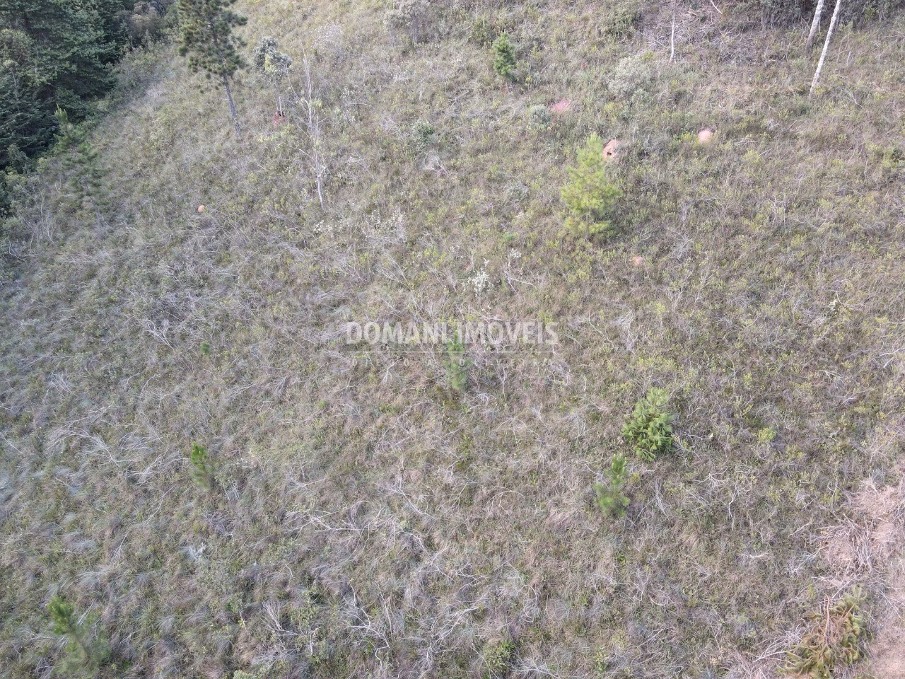 Plot of 3,590 m² in Campos do Jordão, SP, Brazil