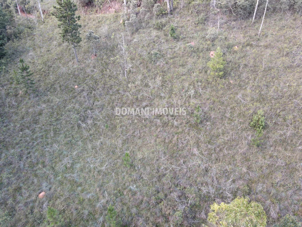 Plot of 3,590 m² in Campos do Jordão, SP, Brazil
