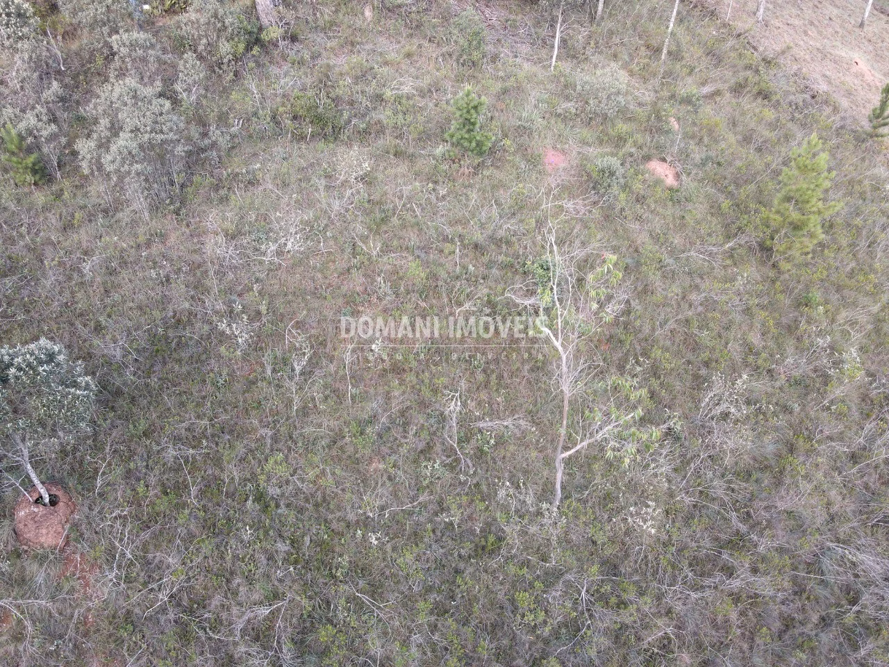 Terreno de 3.590 m² em Campos do Jordão, SP