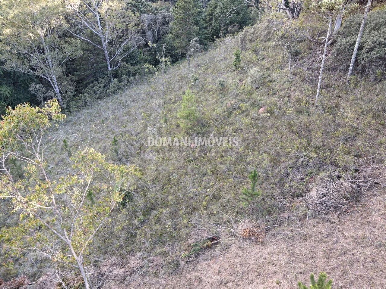 Plot of 3,590 m² in Campos do Jordão, SP, Brazil