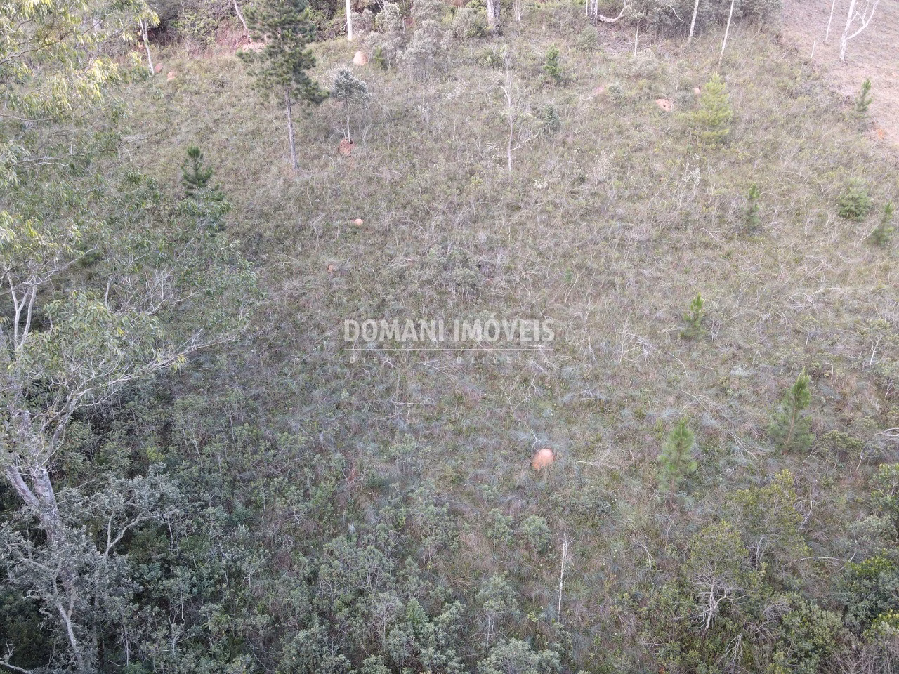Plot of 3,590 m² in Campos do Jordão, SP, Brazil