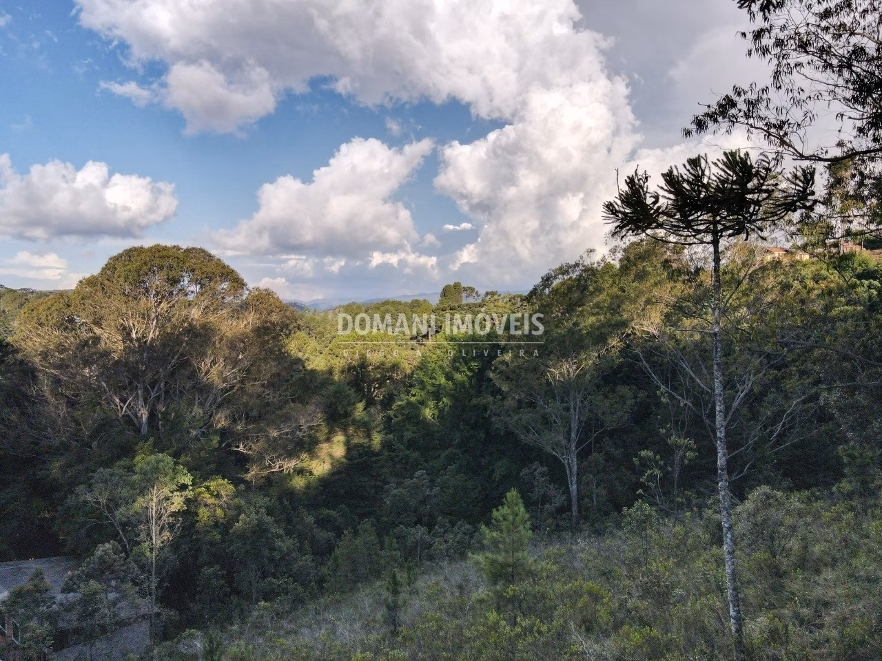 Plot of 3,590 m² in Campos do Jordão, SP, Brazil
