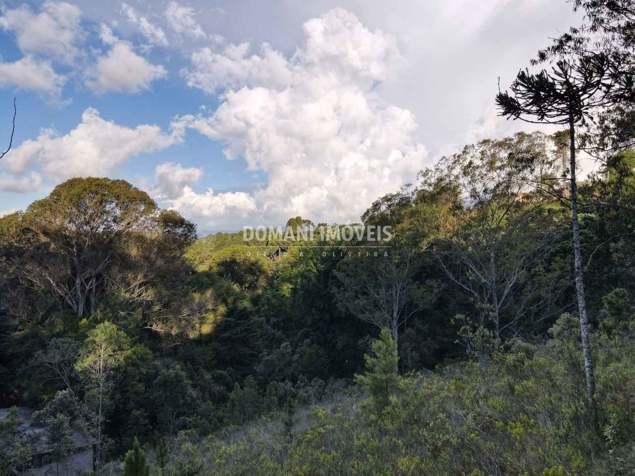 Plot of 3,590 m² in Campos do Jordão, SP, Brazil