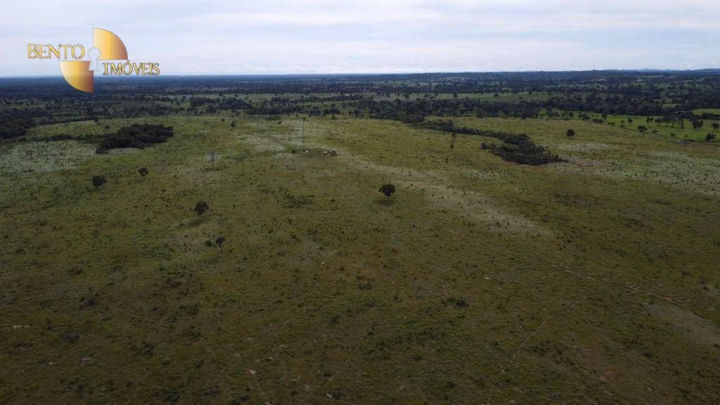 Fazenda de 325 ha em Campinápolis, MT