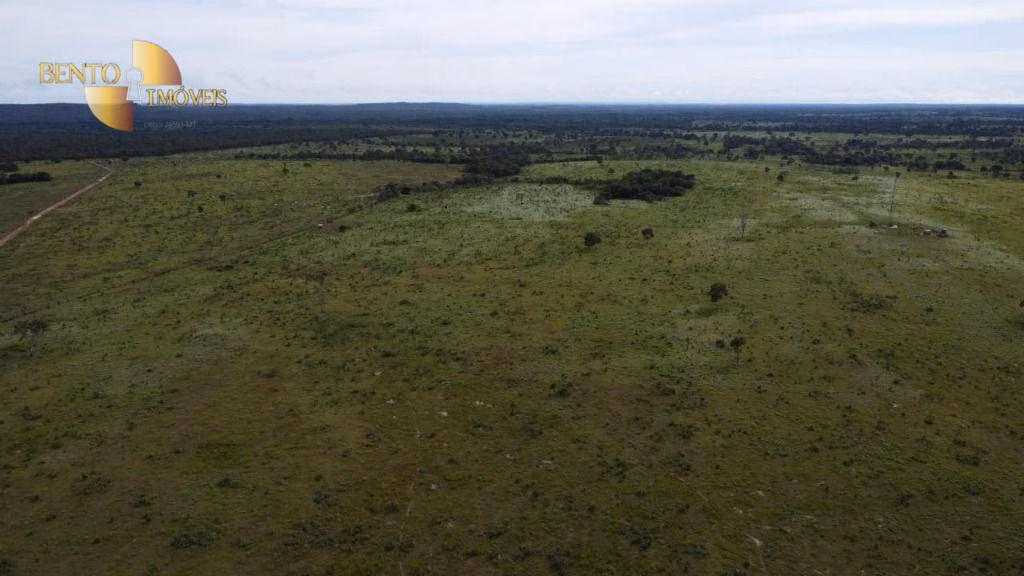 Fazenda de 325 ha em Campinápolis, MT