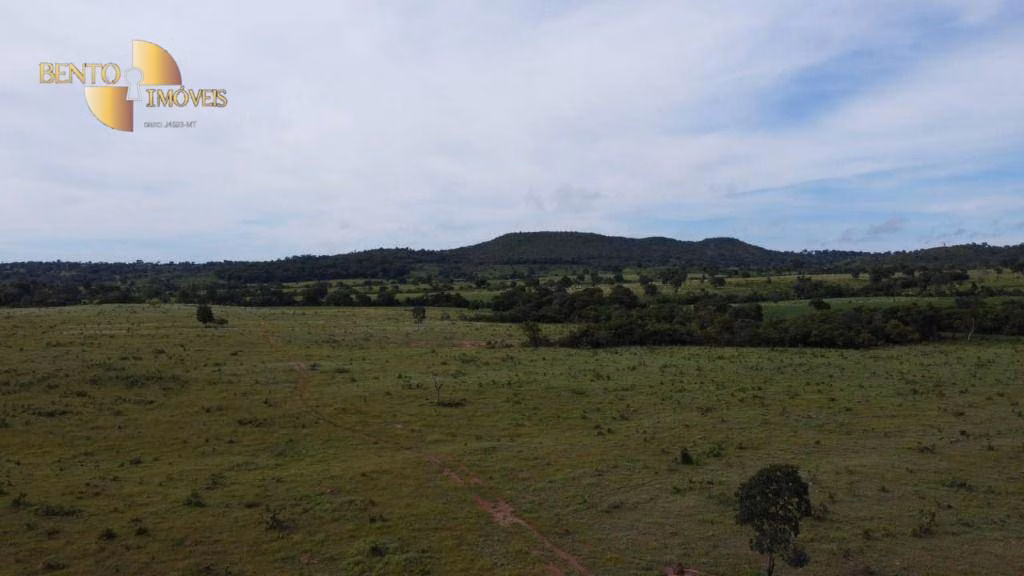 Fazenda de 325 ha em Campinápolis, MT