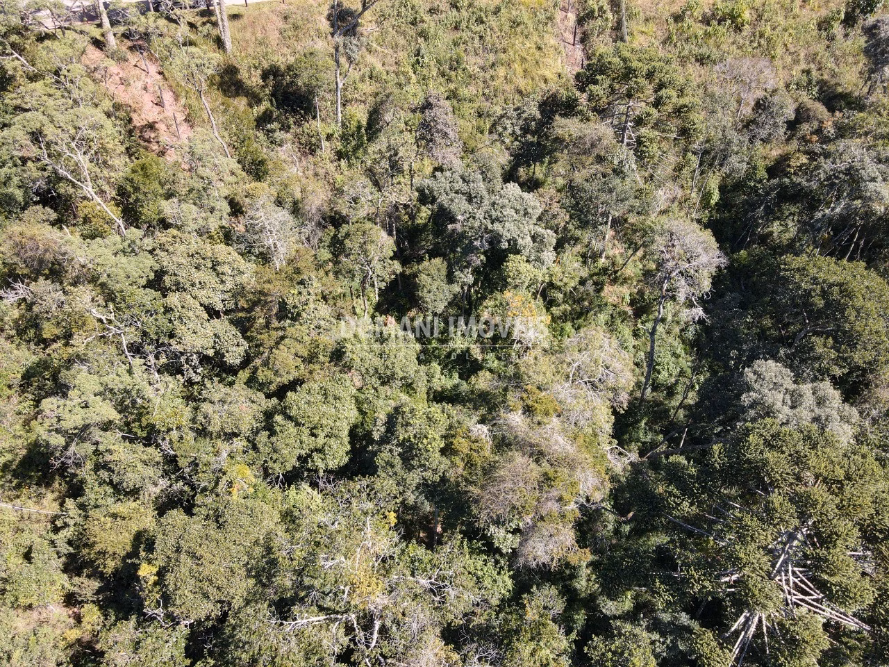Plot of 2,080 m² in Campos do Jordão, SP, Brazil