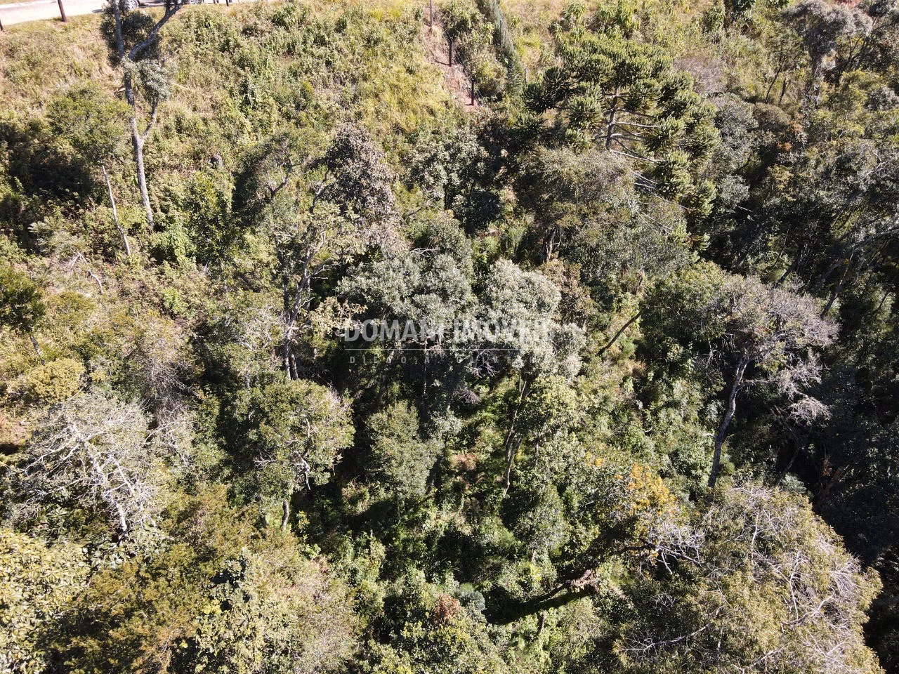 Plot of 2,080 m² in Campos do Jordão, SP, Brazil