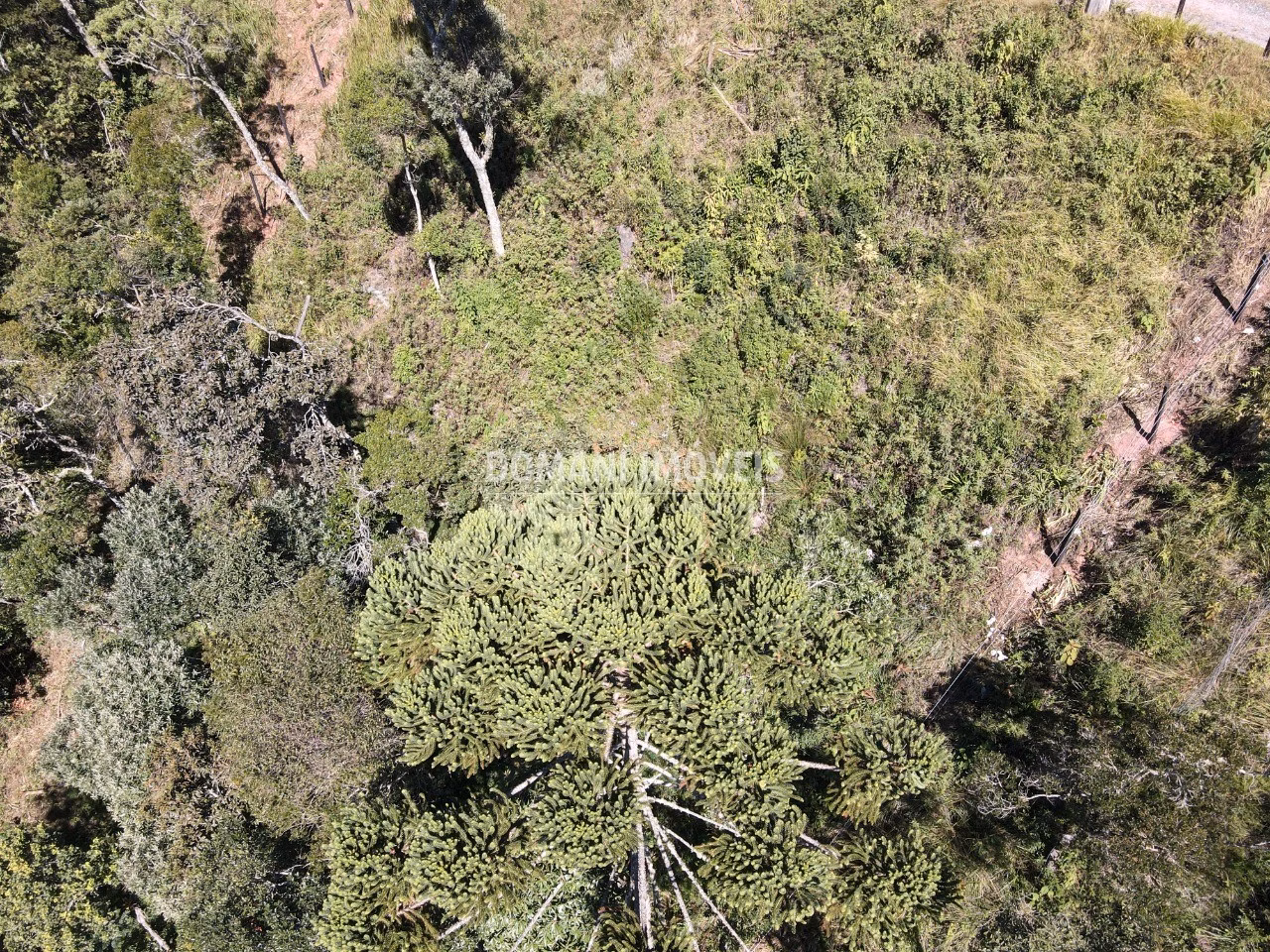 Plot of 2,080 m² in Campos do Jordão, SP, Brazil