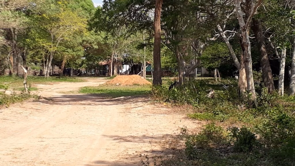 Fazenda de 960 ha em Poconé, MT