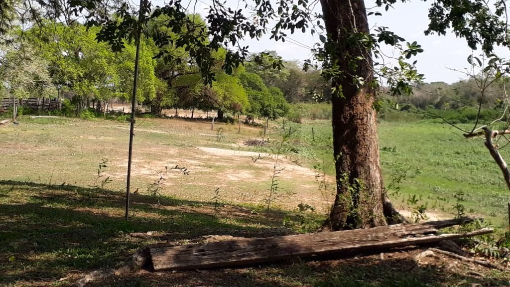 Fazenda de 960 ha em Poconé, MT