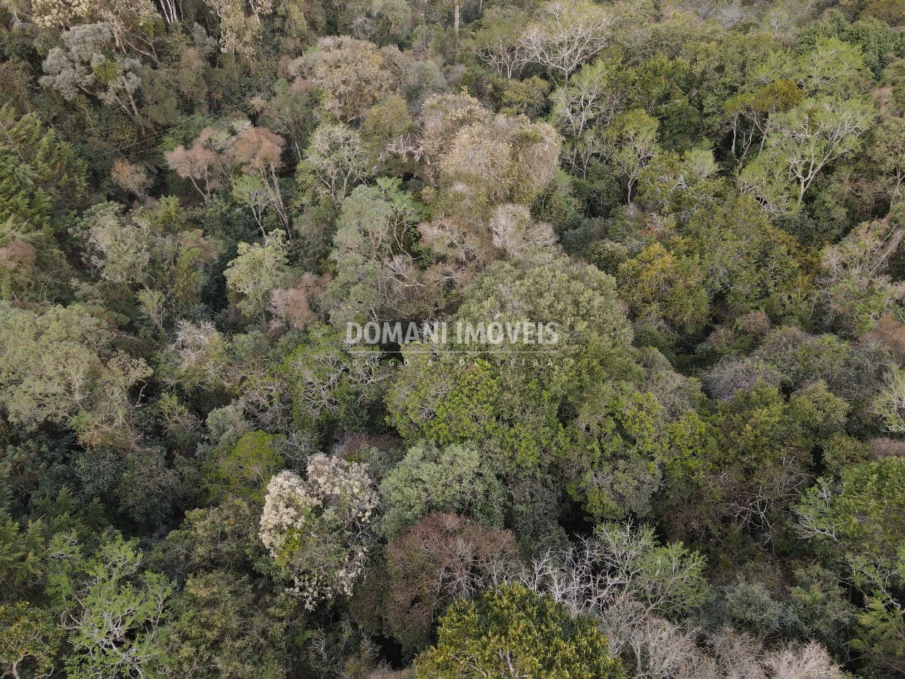 Terreno de 3.500 m² em Campos do Jordão, SP