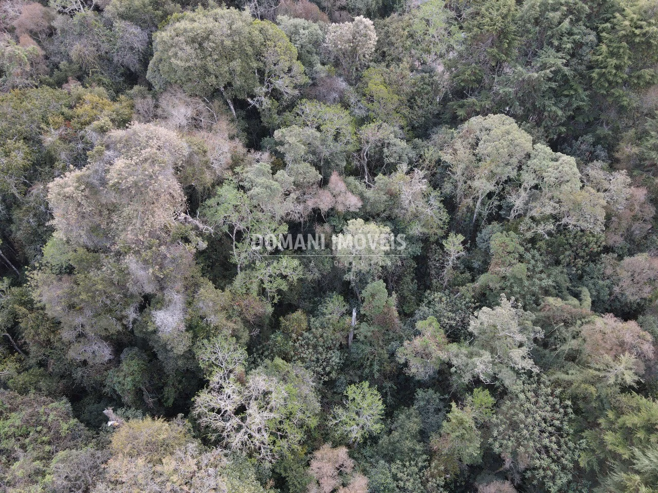 Plot of 3,500 m² in Campos do Jordão, SP, Brazil