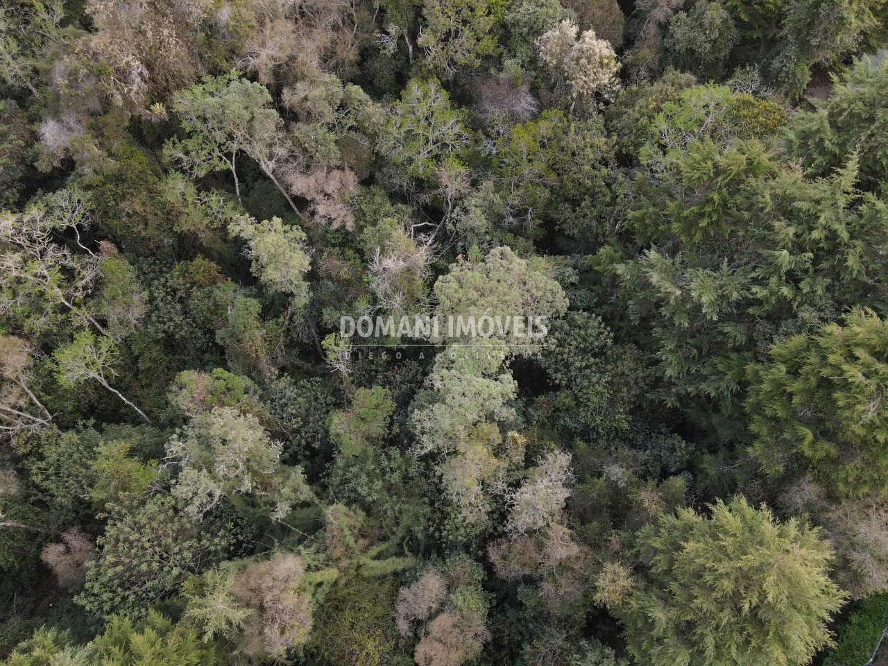 Plot of 3,500 m² in Campos do Jordão, SP, Brazil