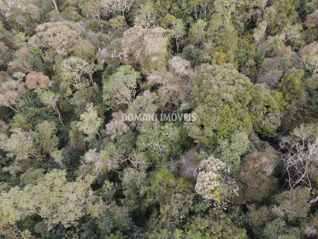 Plot of 3,500 m² in Campos do Jordão, SP, Brazil