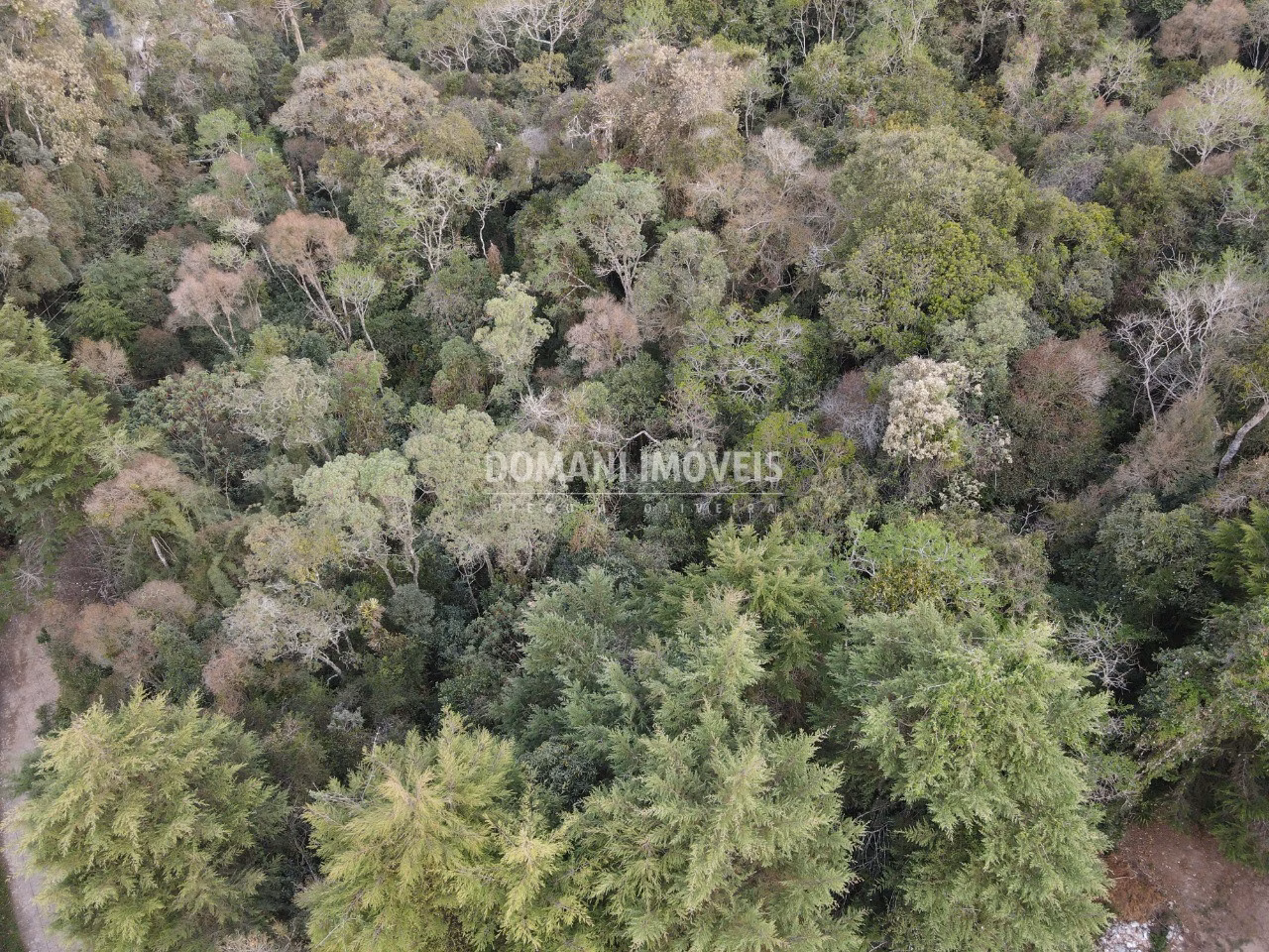 Plot of 3,500 m² in Campos do Jordão, SP, Brazil