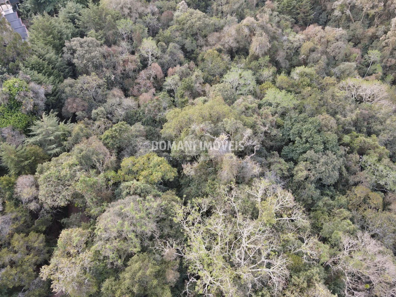 Terreno de 3.500 m² em Campos do Jordão, SP
