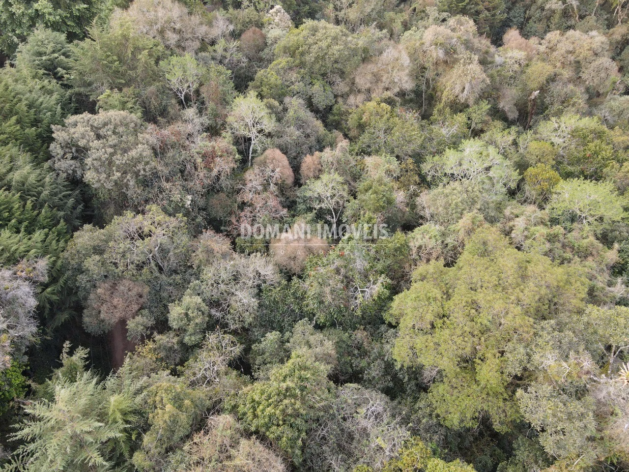 Plot of 3,500 m² in Campos do Jordão, SP, Brazil