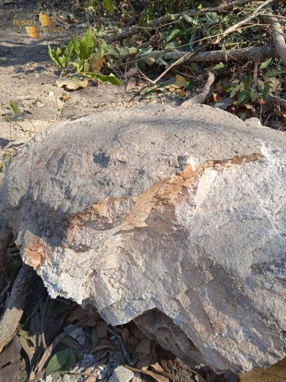 Fazenda de 1.524 ha em Porto Esperidião, MT