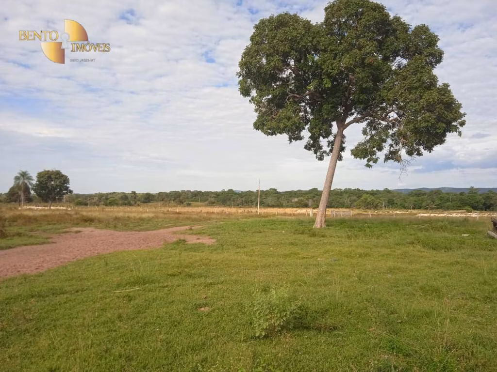 Fazenda de 1.524 ha em Porto Esperidião, MT