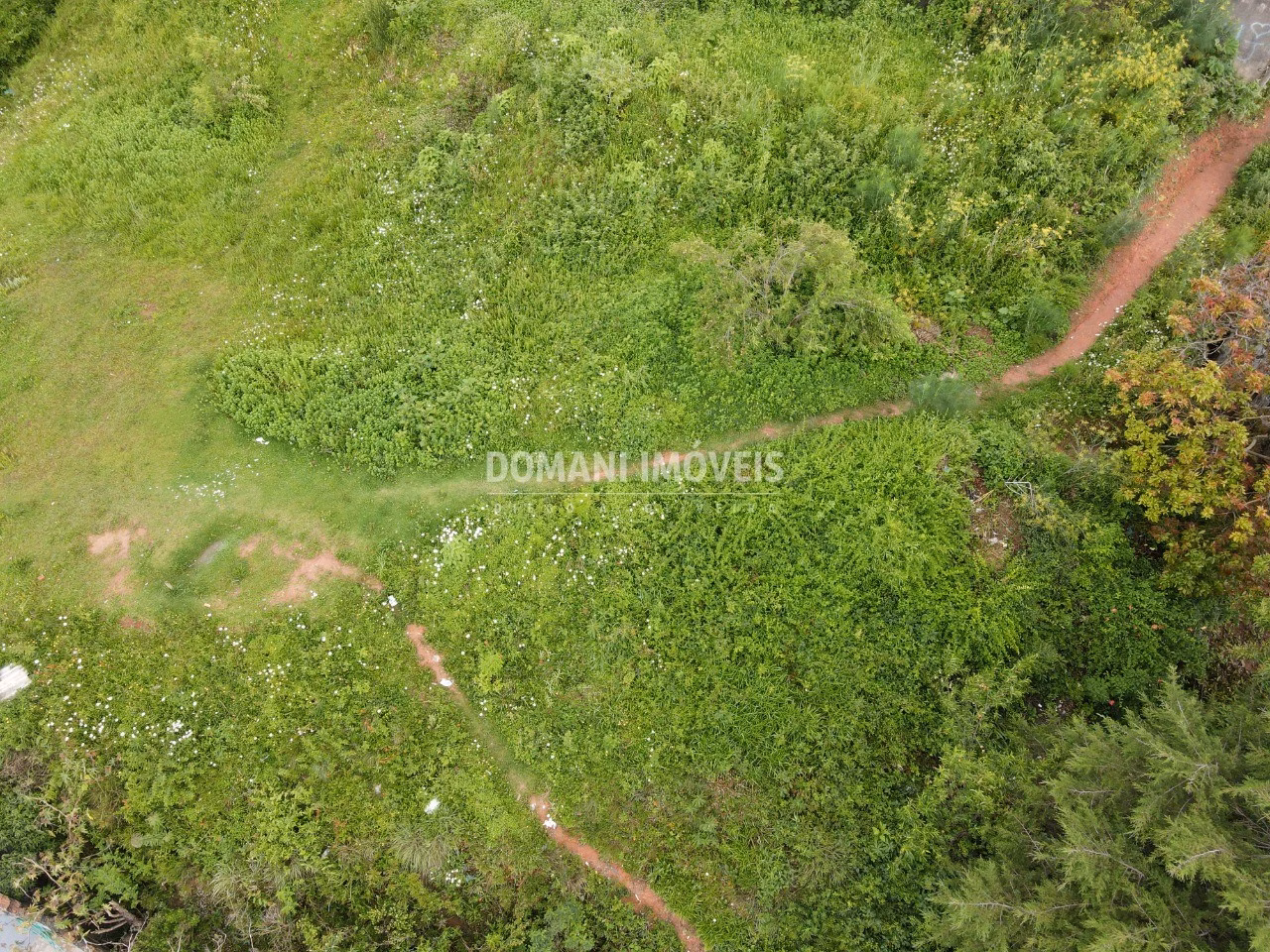 Plot of 500 m² in Campos do Jordão, SP, Brazil